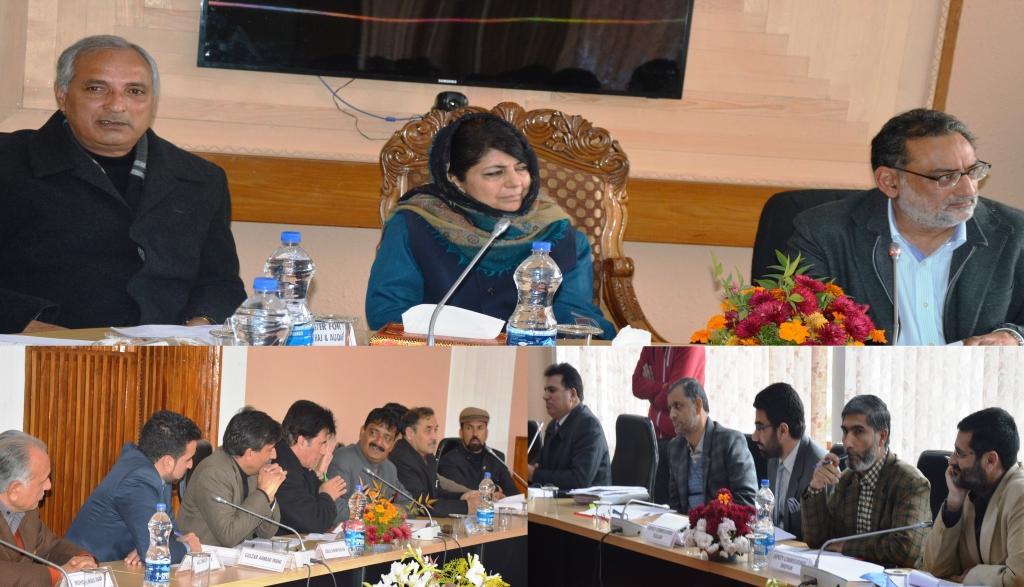 Mehbooba reviews DDUGJY implementation